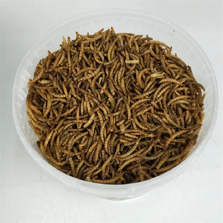 Transcendent Microwaved Dried Mealworms Fish Food